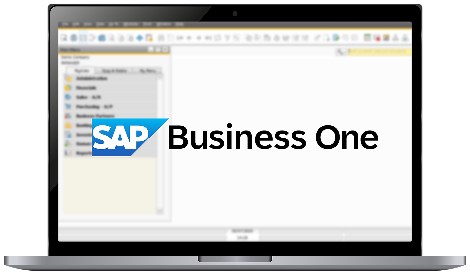 SAP Business One ERP Features
