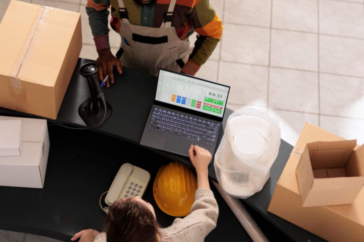 Two employees looking at the data of an accounting system